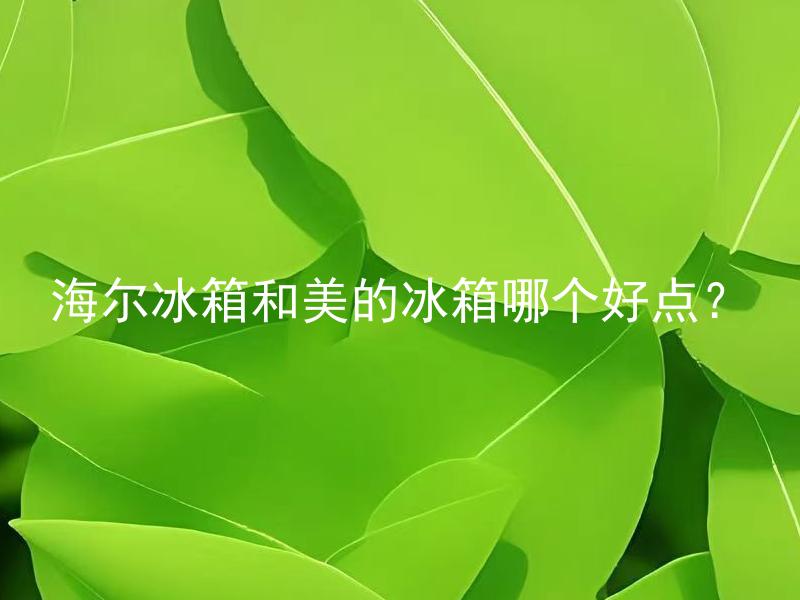 海尔冰箱和美的冰箱哪个好点？ 如何选择适合自己的冰箱品牌，海尔和美的哪个更符合你的需求？