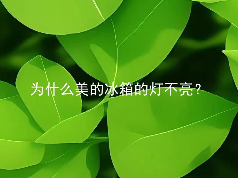 为什么美的冰箱的灯不亮？ 美的冰箱灯不亮是什么原因？