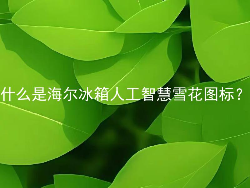 什么是海尔冰箱人工智慧雪花图标？ 海尔冰箱的人工智慧雪花图标有哪些实用功能？