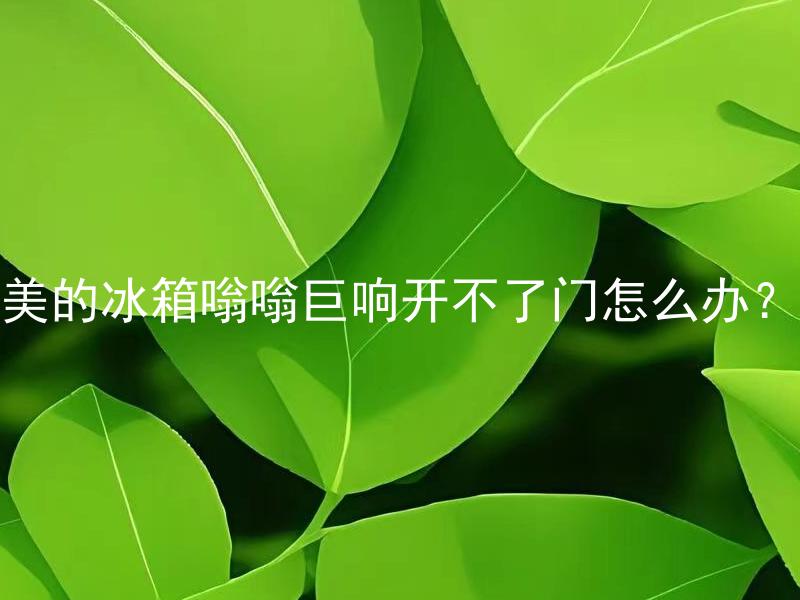 美的冰箱嗡嗡巨响开不了门怎么办？ 美的冰箱嗡嗡巨响开不了门是什么问题？