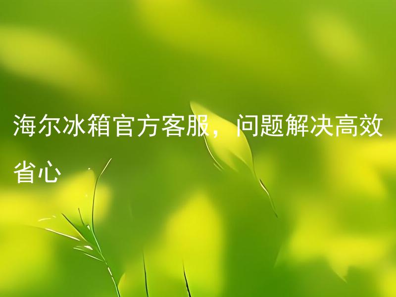 海尔冰箱官方客服，问题解决高效省心 海尔冰箱官方客服如何联系？