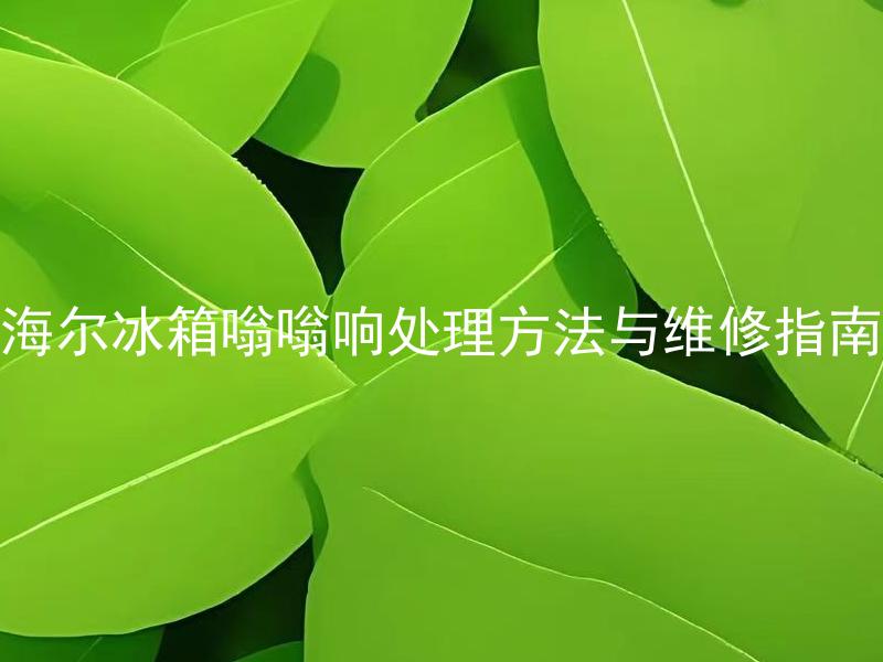 海尔冰箱嗡嗡响处理方法与维修指南 海尔冰箱嗡嗡响是什么原因造成的？如何处理及维修呢？