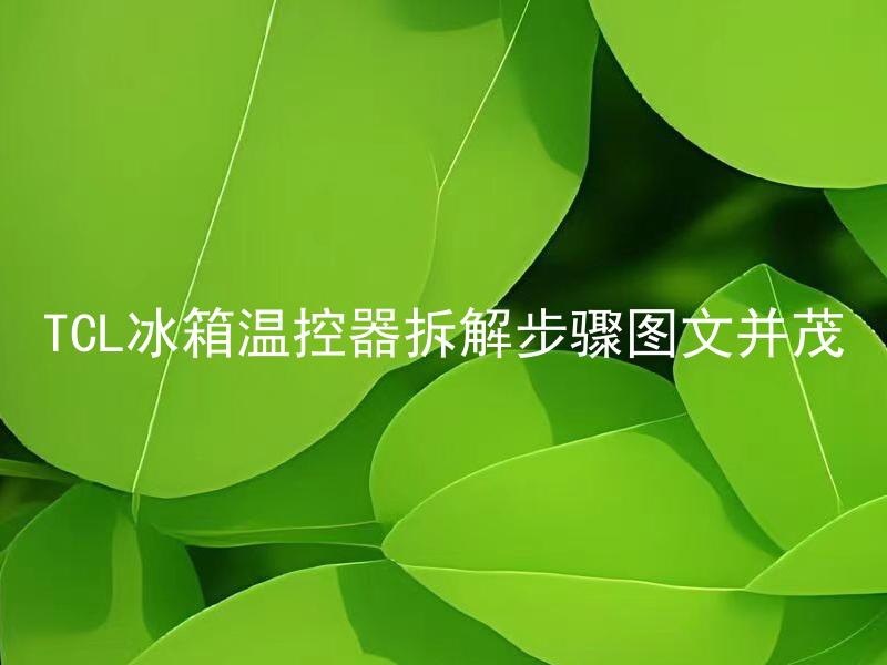 TCL冰箱温控器拆解步骤图文并茂 TCL冰箱温控器需要经常拆解清理吗？