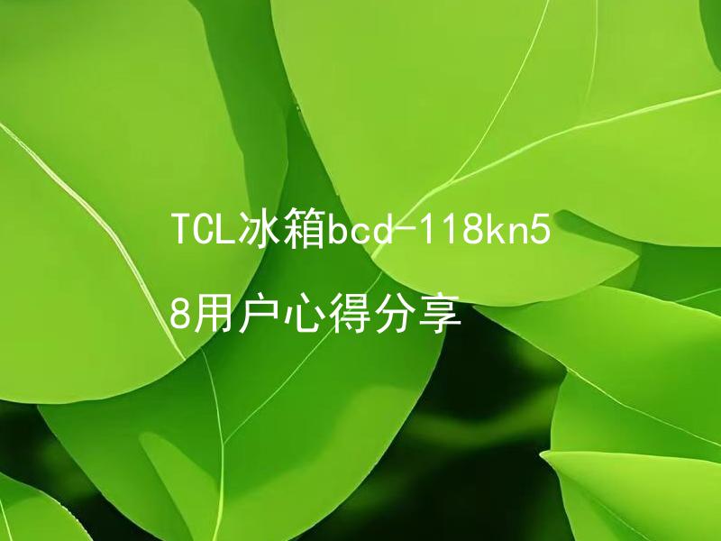 TCL冰箱bcd-118kn58用户心得分享 TCL冰箱bcd-118kn58的使用效果如何？