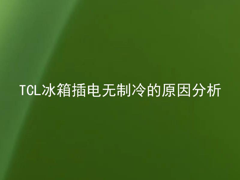 TCL冰箱插电无制冷的原因分析 TCL冰箱插电无制冷的解决方案有哪些？