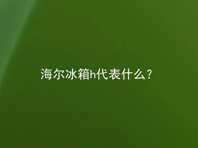 海尔冰箱h代表什么？ 海尔冰箱H代表哪一年的生产？