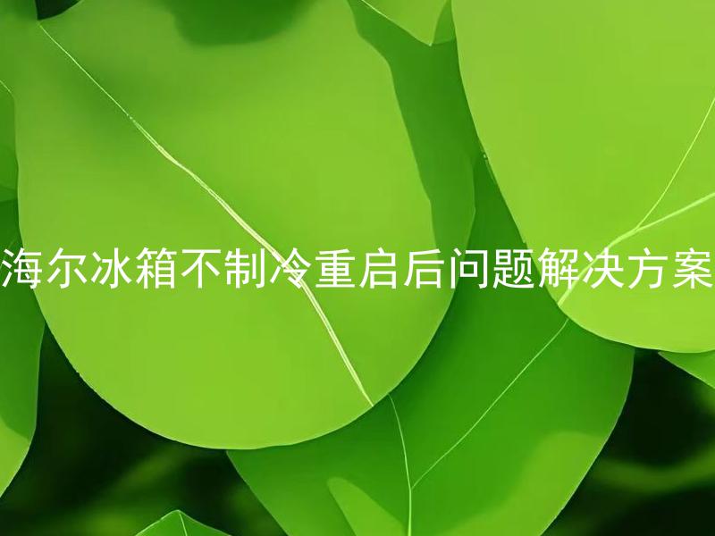 海尔冰箱不制冷重启后问题解决方案 海尔冰箱不制冷重启后问题依然存在应该怎么办？