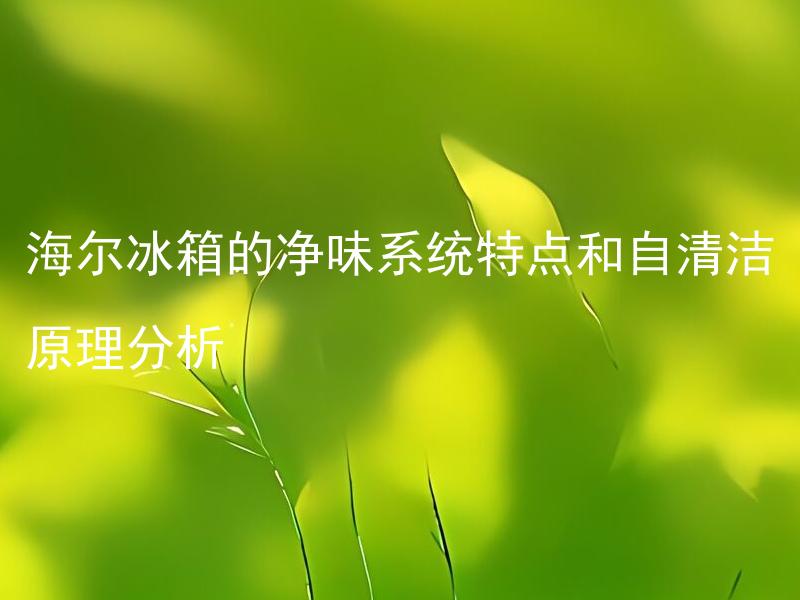 海尔冰箱的净味系统特点和自清洁原理分析 海尔冰箱净味系统的自清洁原理如何实现？
