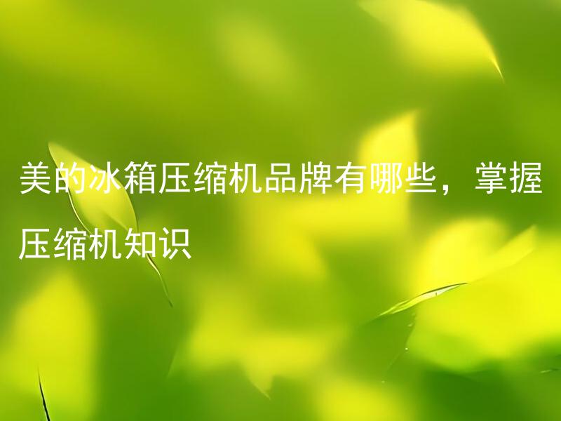 美的冰箱压缩机品牌有哪些，掌握压缩机知识 美的冰箱压缩机型号选择的关键在哪里？