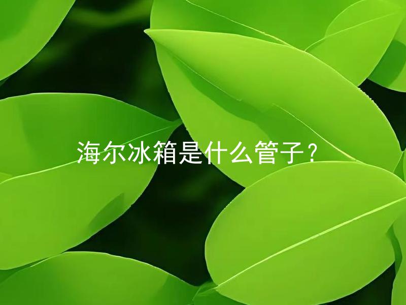 海尔冰箱是什么管子？ 海尔冰箱管子有多重要？