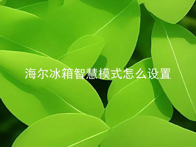 海尔冰箱智慧模式怎么设置 海尔冰箱智慧模式如何调节？