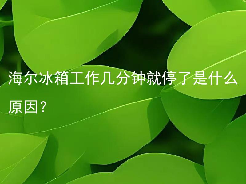海尔冰箱工作几分钟就停了是什么原因？ 海尔冰箱工作几分钟就停了是什么原因？如何解决？