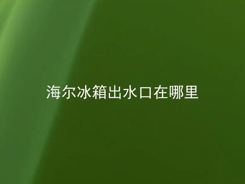 海尔冰箱出水口在哪里 海尔冰箱出水口有多少种类型