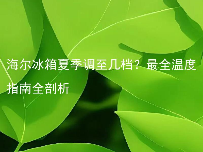 海尔冰箱夏季调至几档？最全温度指南全剖析 海尔冰箱夏季调至哪个温度可以节能降温？