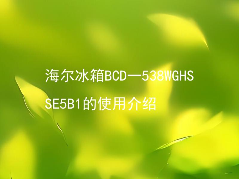 海尔冰箱BCD一538WGHSSE5B1的使用介绍