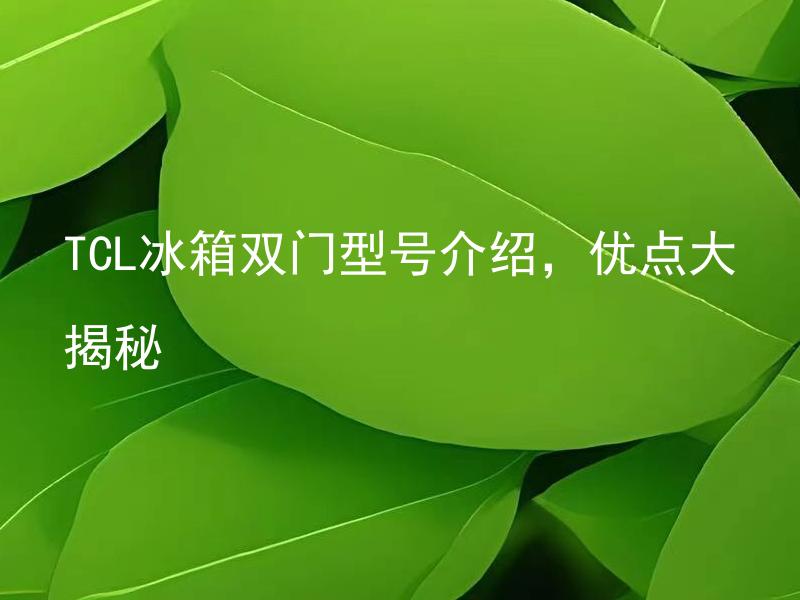 TCL冰箱双门型号介绍，优点大揭秘