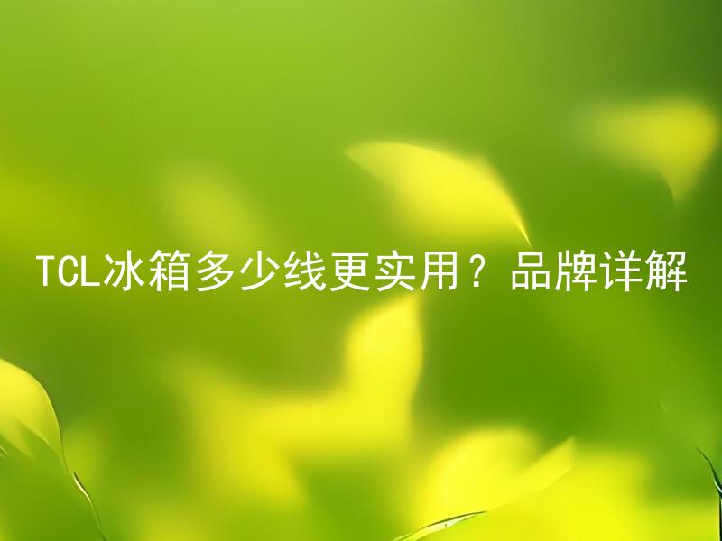 TCL冰箱多少线更实用？品牌详解 TCL冰箱多少线更实用？电流大小是否与实用性有关？
TCL冰箱多少线更实用？电线的线径和材质对冰箱的实用性有何影响？
TCL冰箱多少线更实用？最适合的电源线细度和材质能为冰箱提供合适的供电？ 
TCL冰箱多少线更实用？选择不同线径的电源线会对冰箱的运行产生影响吗？ 
TCL冰箱多少线更实用？哪种线径和材质的电源线对冰箱的保护更好？ 	