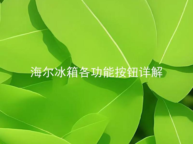 海尔冰箱各功能按钮详解