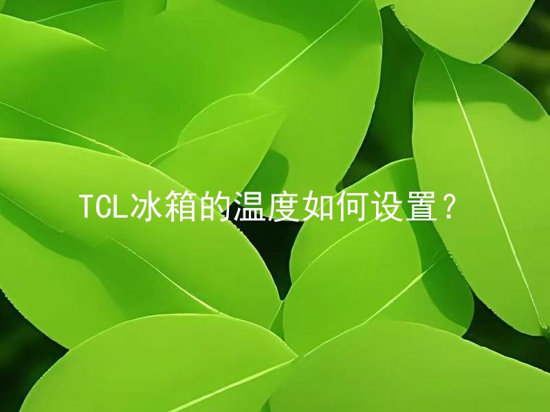 TCL冰箱的温度如何设置？ TCL冰箱的温度如何设置以保持食物新鲜？