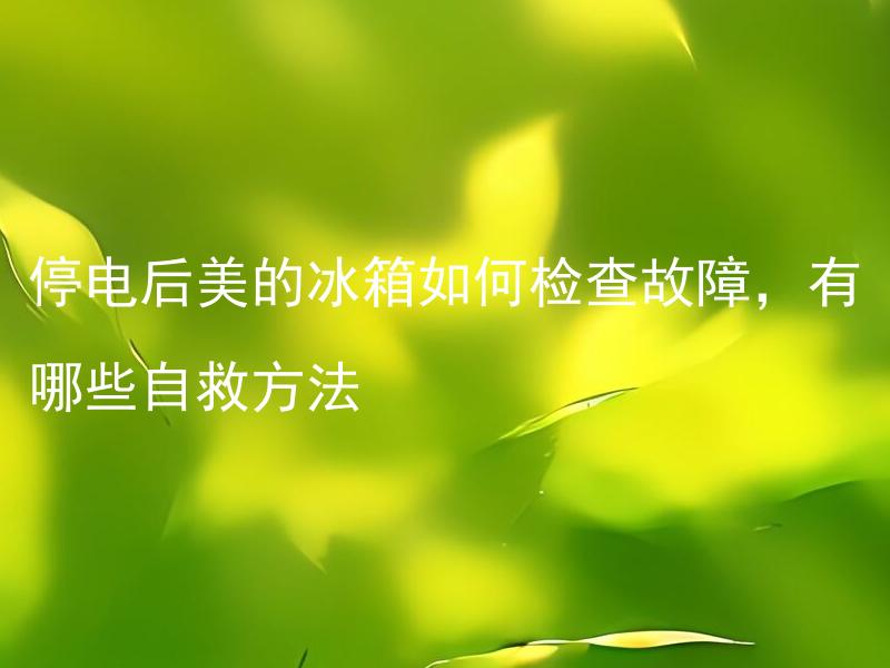 停电后美的冰箱如何检查故障，有哪些自救方法