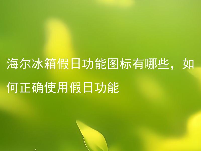 海尔冰箱假日功能图标有哪些，如何正确使用假日功能