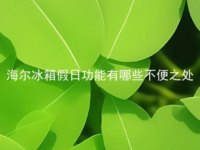 海尔冰箱假日功能有哪些不便之处 海尔冰箱假日功能对用户有哪些不便之处？