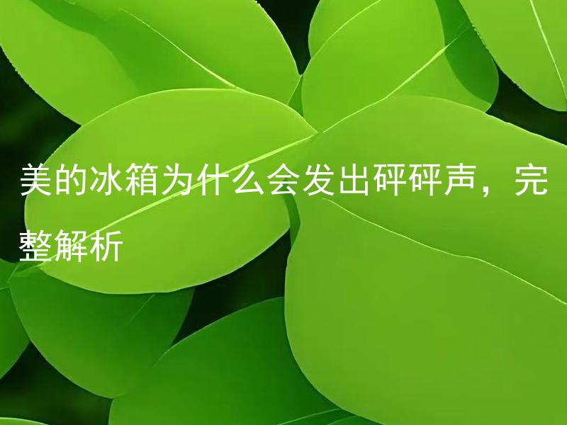 美的冰箱为什么会发出砰砰声，完整解析