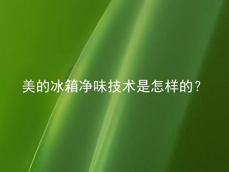 美的冰箱净味技术是怎样的？ 美的冰箱净味技术如何保证食物新鲜和被冰箱气味污染的食物能及时恢复正常味道？