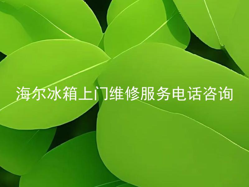 海尔冰箱上门维修服务电话咨询 海尔冰箱上门维修服务电话咨询的延伸标题可以是：海尔冰箱上门维修服务电话咨询需要提供什么信息？