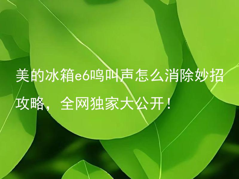 美的冰箱e6鸣叫声怎么消除妙招攻略，全网独家大公开！ 美的冰箱e6鸣叫声怎么消除，有哪些实用技巧？