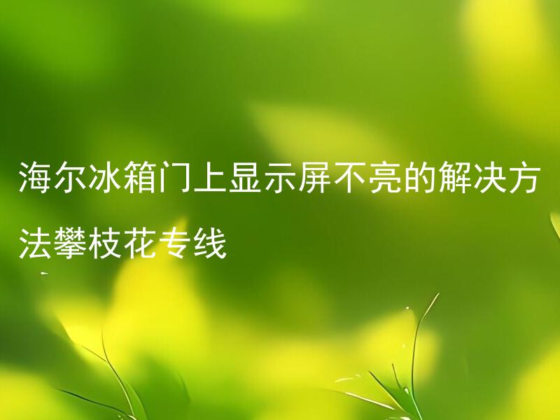 海尔冰箱门上显示屏不亮的解决方法攀枝花专线 海尔冰箱门上显示屏如何解决不亮的问题？
海尔冰箱门上显示屏不亮是什么原因？
海尔冰箱门上显示屏不亮如何修复？
海尔冰箱门上显示屏不亮需要怎样的维修手段？
海尔冰箱门上显示屏不亮是可修复的吗？