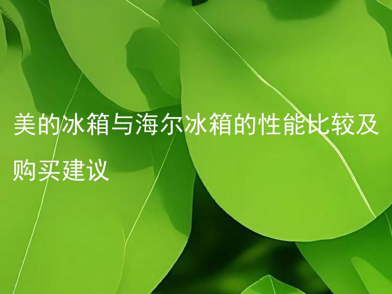 美的冰箱与海尔冰箱的性能比较及购买建议