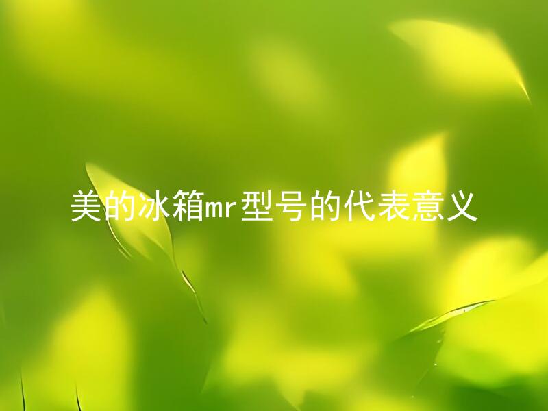 美的冰箱mr型号的代表意义 美的冰箱mr型号的选购要注意哪些方面？