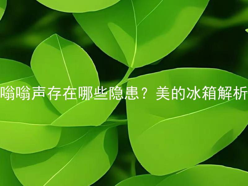 嗡嗡声存在哪些隐患？美的冰箱解析 嗡嗡声存在哪些隐患？美的冰箱嗡嗡声是怎么产生的？