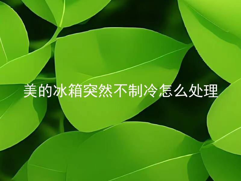 美的冰箱突然不制冷怎么处理