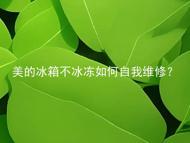 美的冰箱不冰冻如何自我维修？ 美的冰箱不冰冻是什么问题导致的？