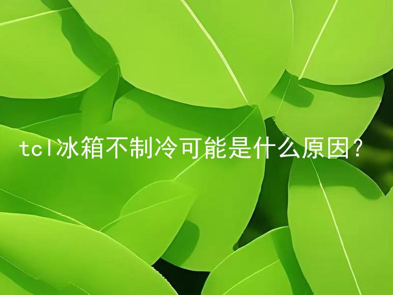 tcl冰箱不制冷可能是什么原因？ TCL冰箱不制冷是什么故障可能导致的？