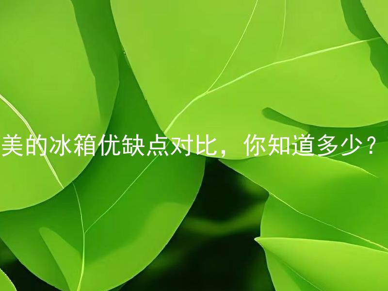 美的冰箱优缺点对比，你知道多少？ 美的冰箱优缺点对比，哪种型号更省电？