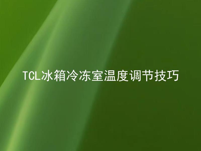 TCL冰箱冷冻室温度调节技巧