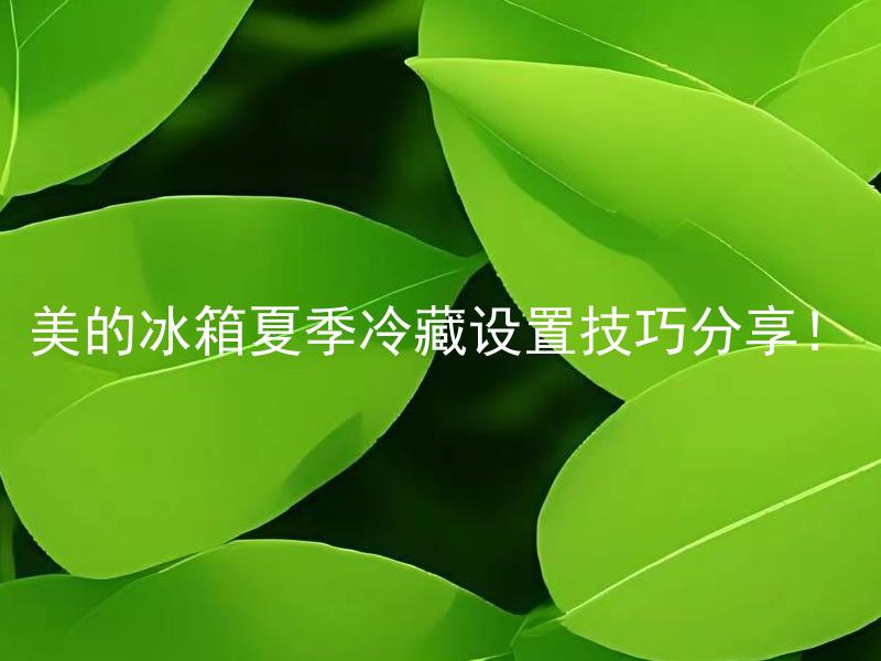 美的冰箱夏季冷藏设置技巧分享！