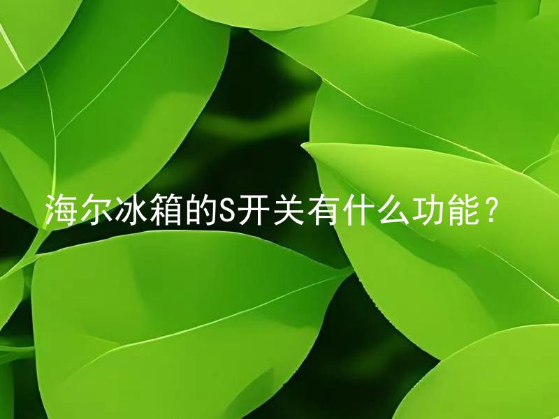 海尔冰箱的S开关有什么功能？ 海尔冰箱的S开关除了关闭制冷功能，还有其他功能吗？