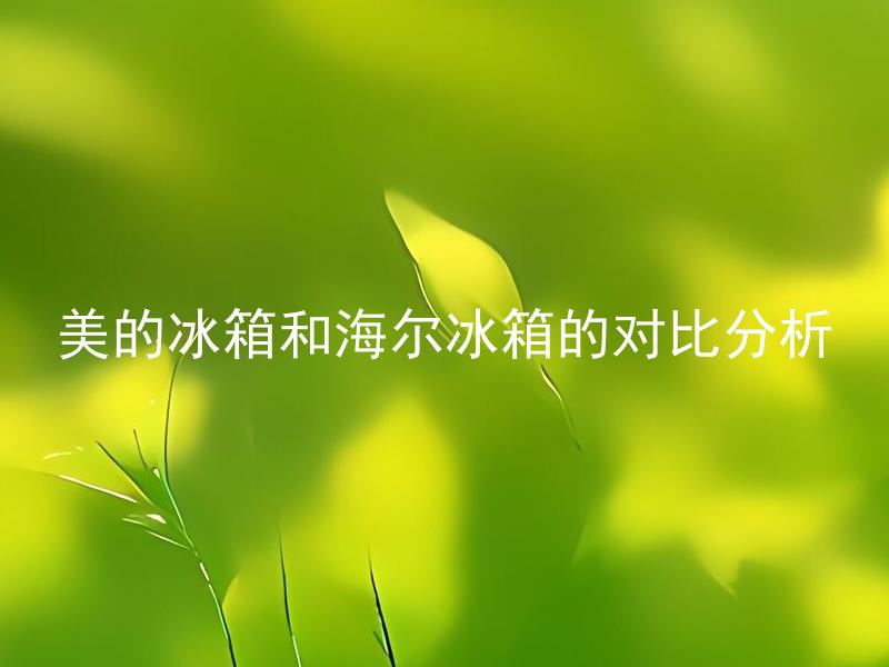 美的冰箱和海尔冰箱的对比分析
