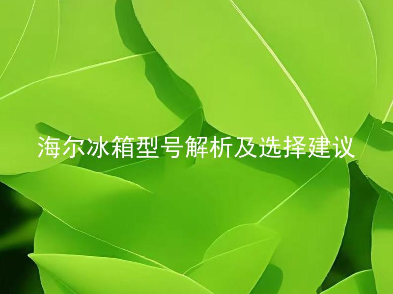 海尔冰箱型号解析及选择建议 如何根据海尔冰箱型号解析选择合适的产品？