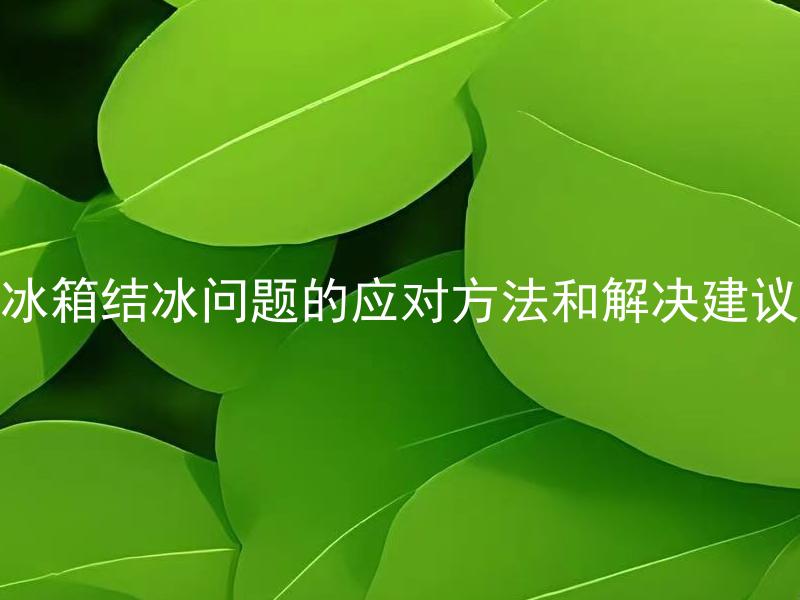 冰箱结冰问题的应对方法和解决建议 冰箱结冰问题如何应对和解决？
