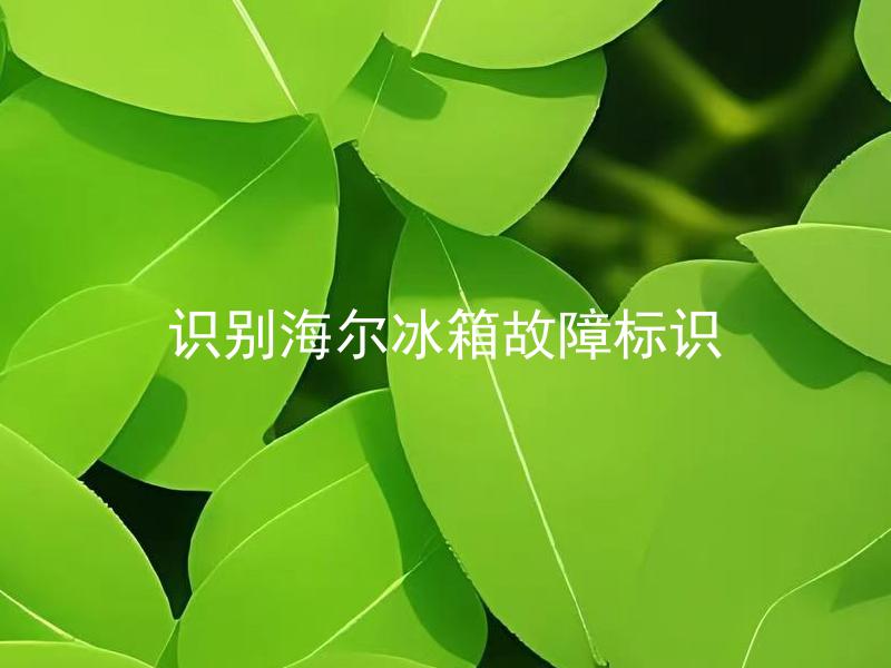 识别海尔冰箱故障标识