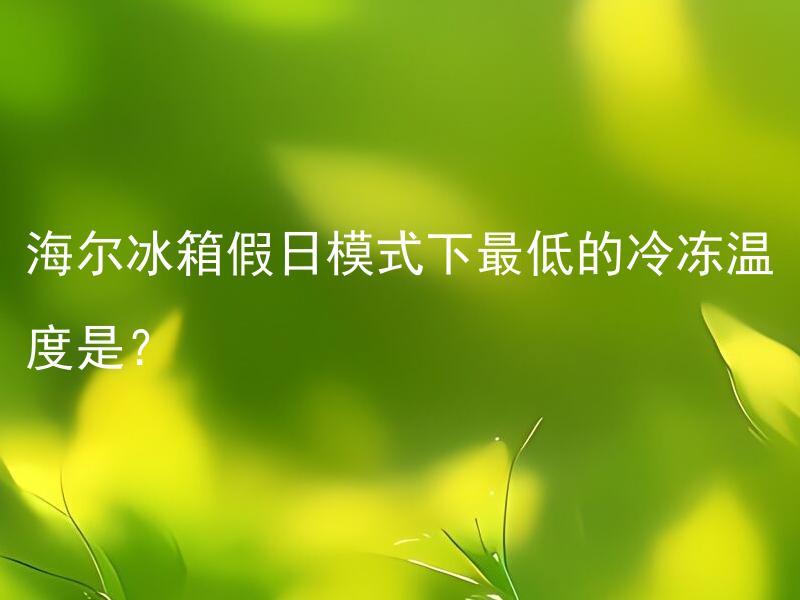 海尔冰箱假日模式下最低的冷冻温度是？ 海尔冰箱假日模式下最低的冷冻温度是多少？