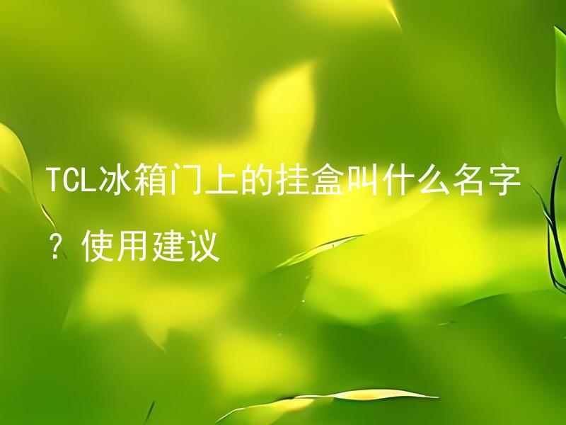 TCL冰箱门上的挂盒叫什么名字？使用建议 冰箱门上的挂盒有什么使用技巧和注意事项？