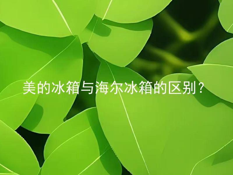 美的冰箱与海尔冰箱的区别？ 美的冰箱与海尔冰箱的区别是什么？