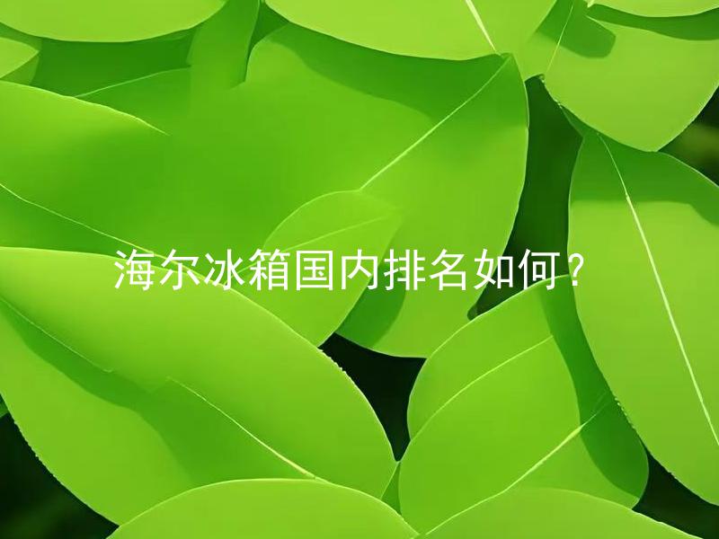 海尔冰箱国内排名如何？ 海尔冰箱在国内排名是否靠前？
海尔冰箱在国内排行榜中居于什么位置？
海尔冰箱在国内的竞争中占据了什么样的位置？