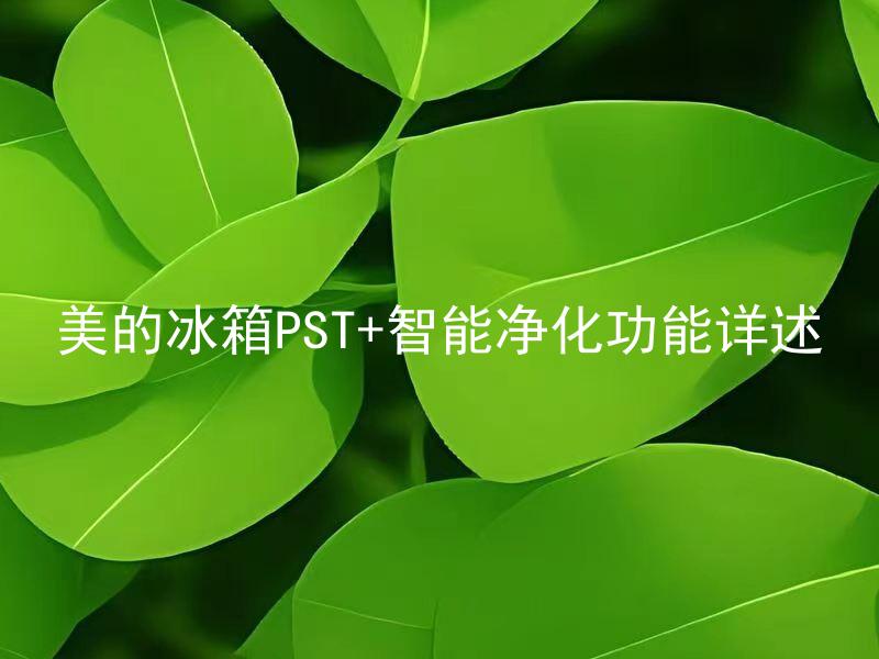 美的冰箱PST+智能净化功能详述